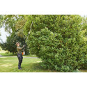 Taille-haies Stihl HLA135 Lambin