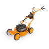 AS53 2T ES 4WD RB