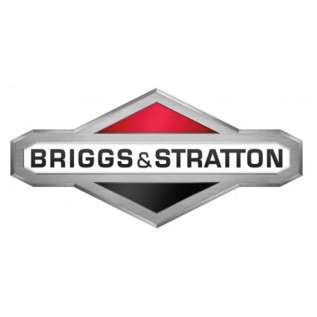 Logo Briggs
