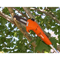Élagueuse Perche à batterie DPPF-310 pack LBP 36-80 Echo