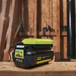 Chargeur 36V 1.7Ah Ryobi 