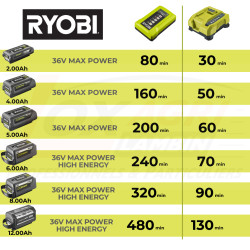 Chargeur 36V 1.7Ah Ryobi 