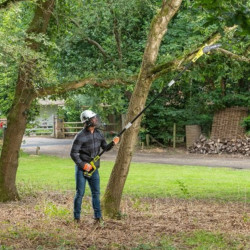 Élagueur sur perche - 20cm - 18V One+ Ryobi