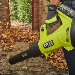 Souffleur Trubo Jet Whisper - 5.0Ah - 18V One+ HP Ryobi