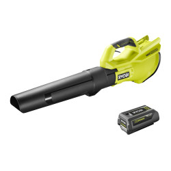 Souffleur Turbo jet 36V - MAX POWER