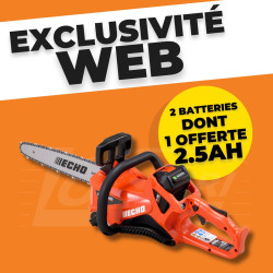 Tronçonneuse à batterie DCS2500 en pack Echo