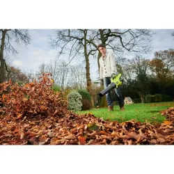 Souffleur Turbo Jet Whisper 36V MAX POWER RY36BLXB-150