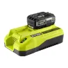 Chargeur 2-en-1 : 18V ONE+ / 36V MAX POWER