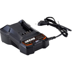 Tronçonneuse à batterie DCS-310 en pack 4Ah Echo
