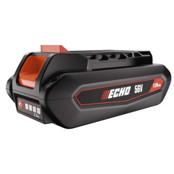 Tronçonneuse à batterie DCS2500 pack 2 Batteries Echo