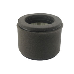 Filtre à air 4109909