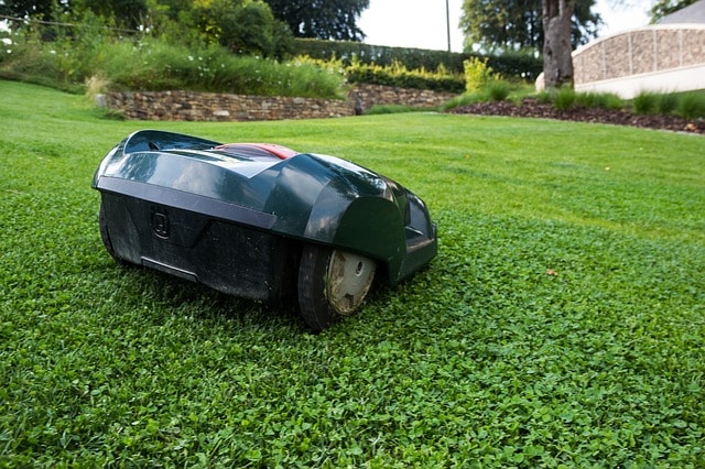Redonnez vie à votre pelouse en toute simplicité avec une tondeuse automatique