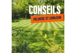 Pourquoi votre pelouse est-elle importante en cas de forte chaleur ?