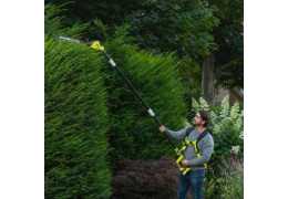 Quels arbres tailler pendant l’hiver ?